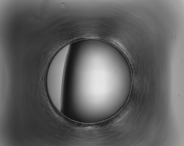 X0000089430433200706151025