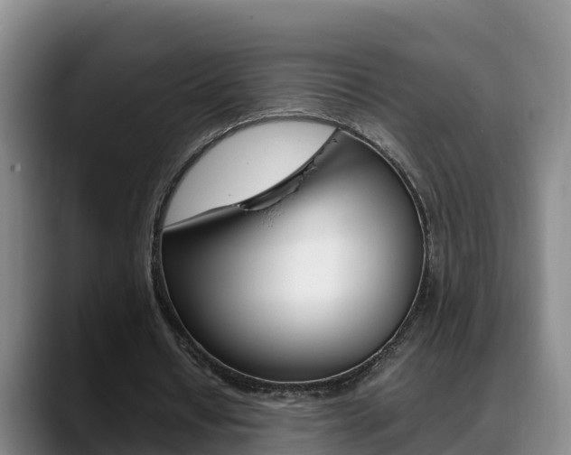 X0000089430434200706151025