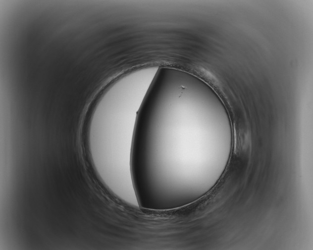 X0000089430435200706151025