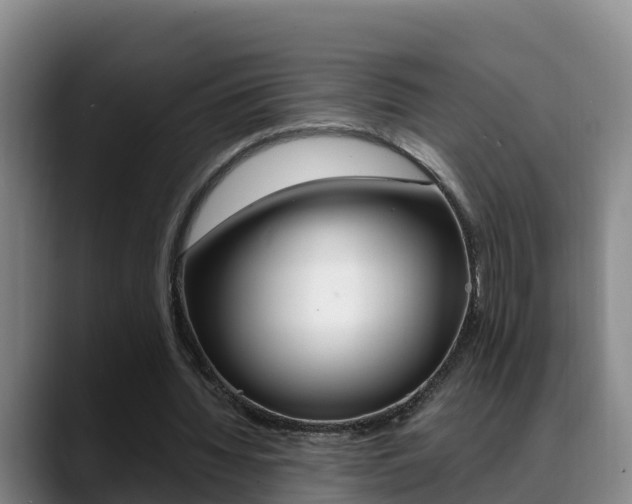 X0000089430436200706151025