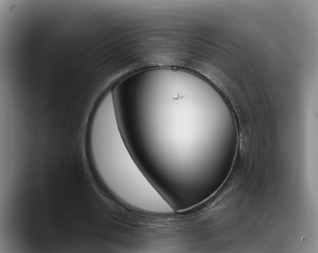 X0000089430438200706151025