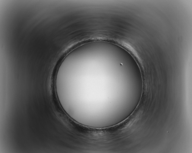 X0000089430439200706151025