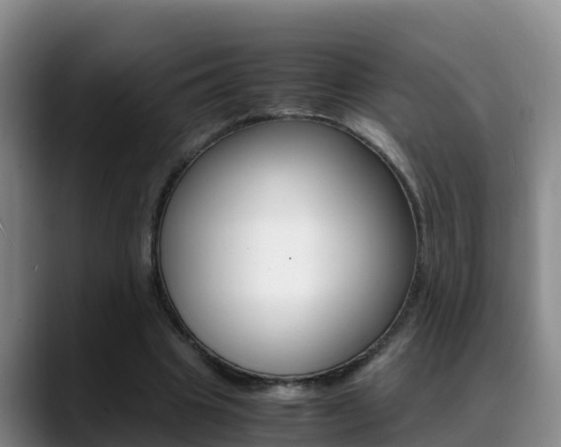 X0000089430441200706151025