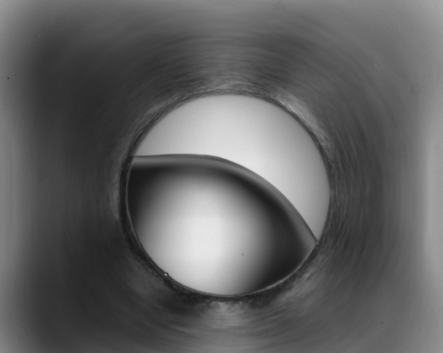 X0000089430442200706151025