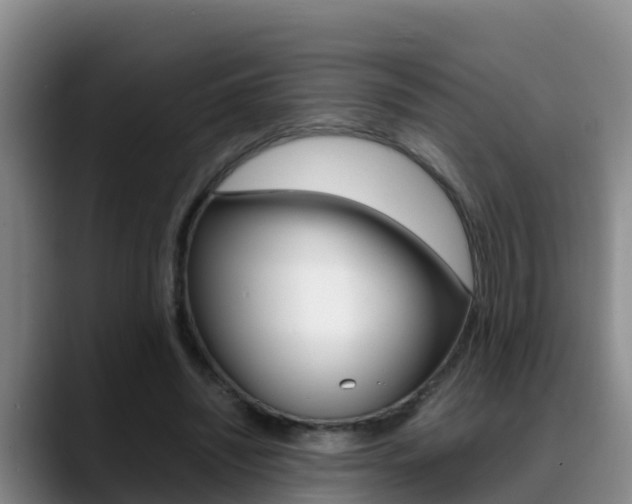 X0000089430444200706151025