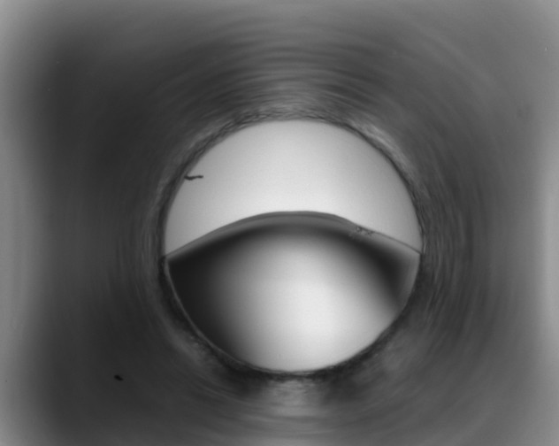 X0000089430446200706151025