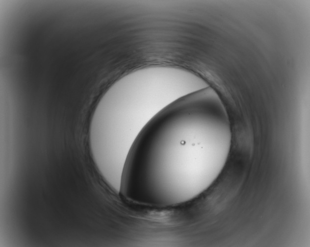 X0000089430450200706151025