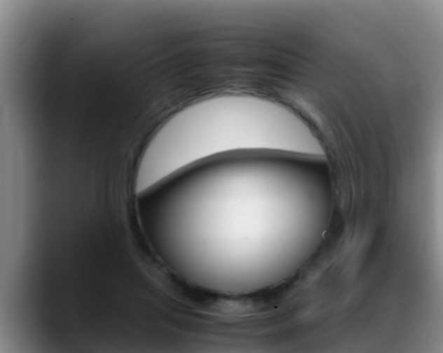 X0000089430455200706151025
