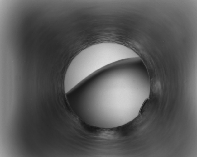 X0000089430471200706151025