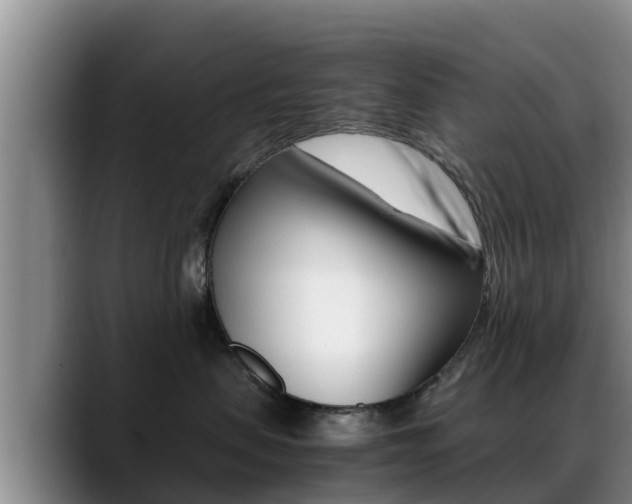 X0000089430479200706151025