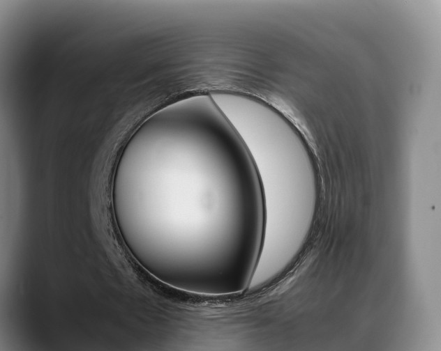 X0000089430481200706151025