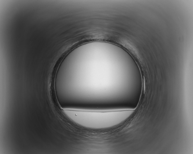 X0000089430483200706151025