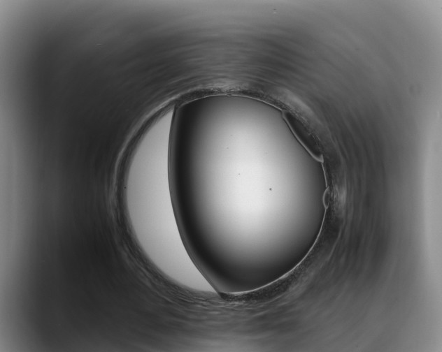 X0000089430484200706151024