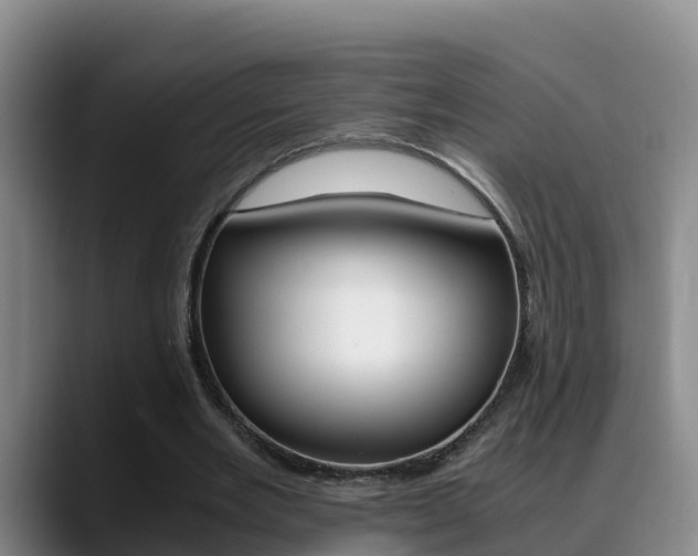 X0000089430485200706151024
