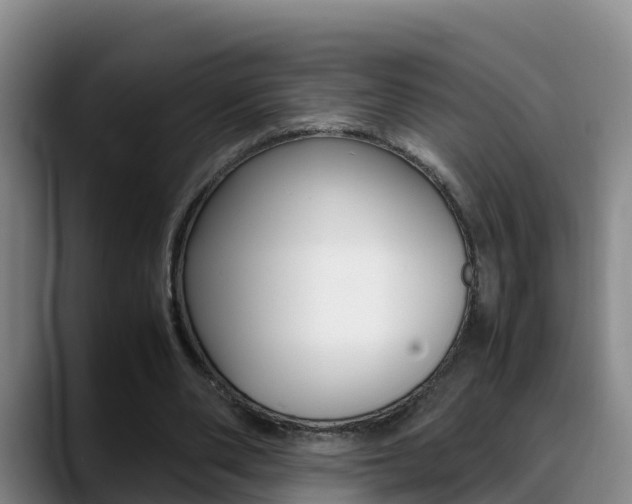 X0000089430486200706151024