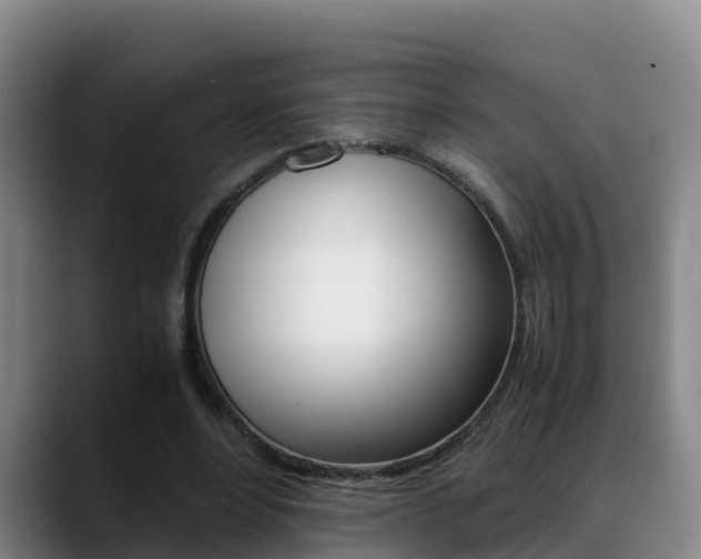 X0000089430488200706151024