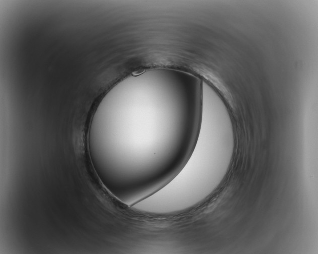 X0000089430489200706151024