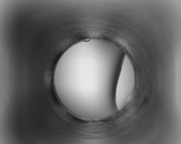 X0000089430495200706151024