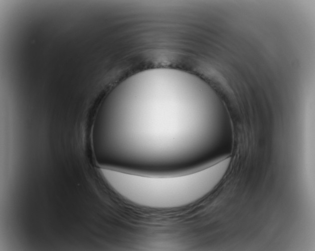 X0000089430496200706151024