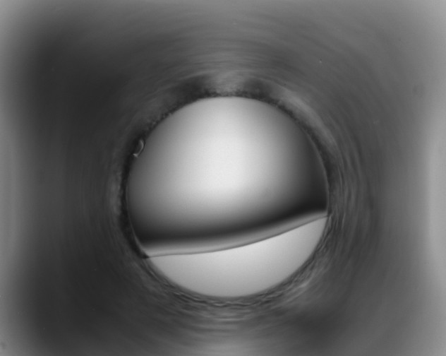 X0000089430497200706151024