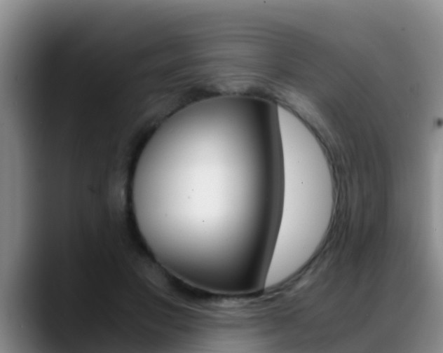 X0000089430501200706151024