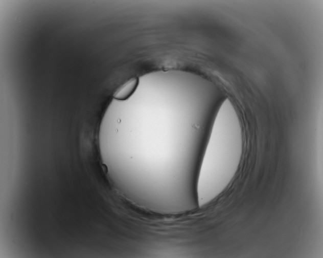 X0000089430503200706151024