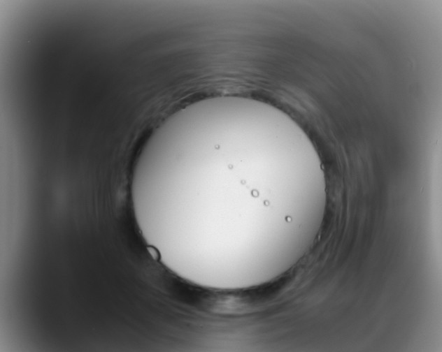 X0000089430507200706151024