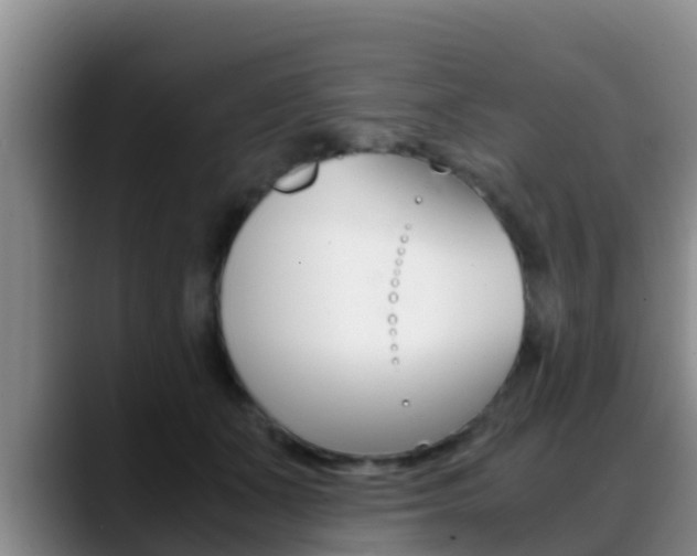 X0000089430511200706151024