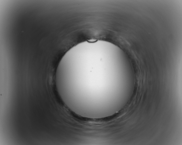 X0000089430515200706151024