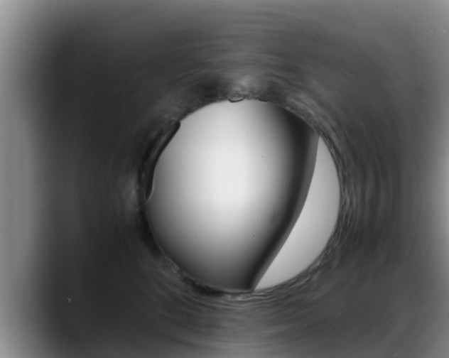 X0000089430520200706151024