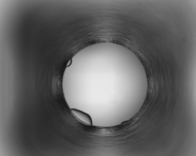 X0000089430522200706151024