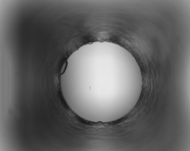 X0000089430523200706151024