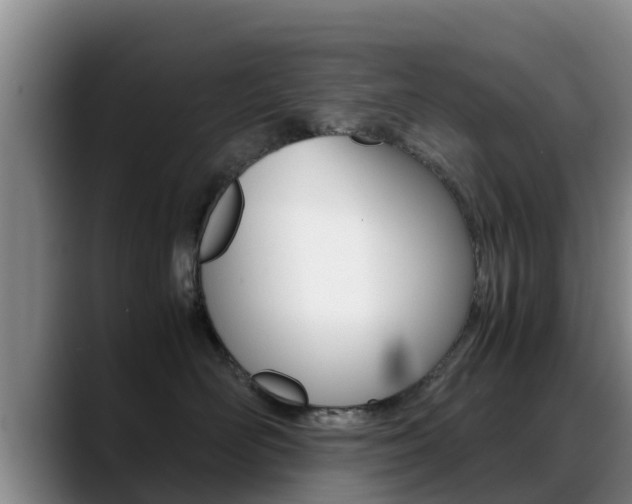 X0000089430526200706151024