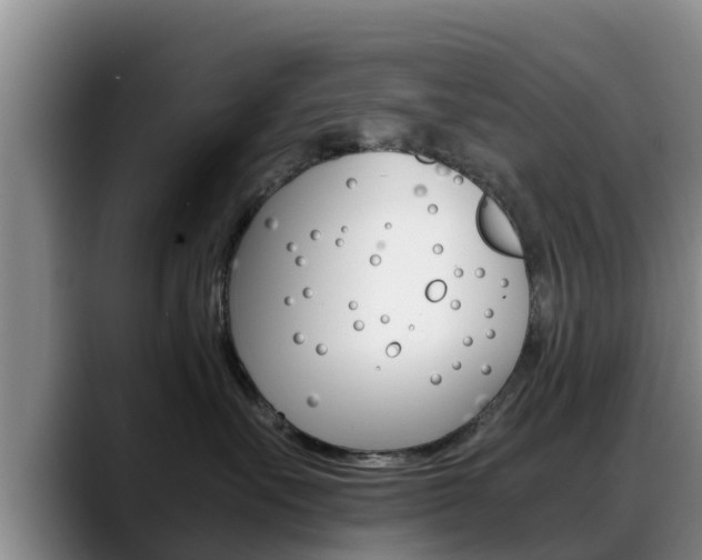 X0000089430527200706151024