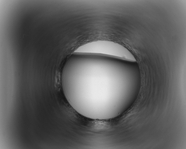 X0000089430528200706151024