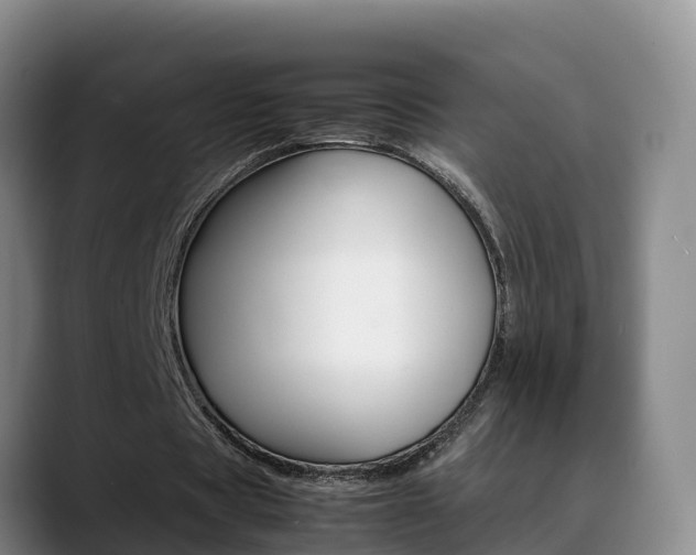 X0000089430529200706151023