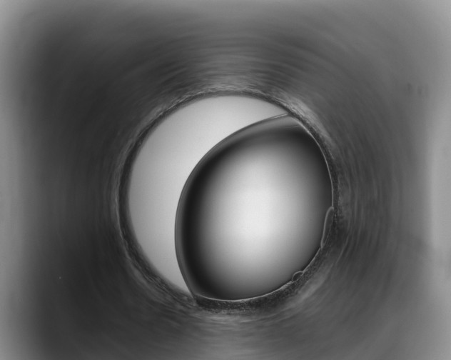 X0000089430530200706151023