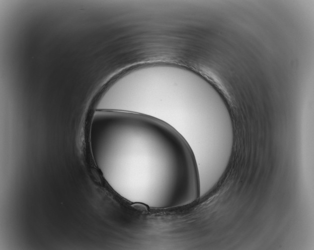X0000089430532200706151023