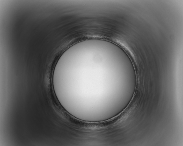 X0000089430533200706151023