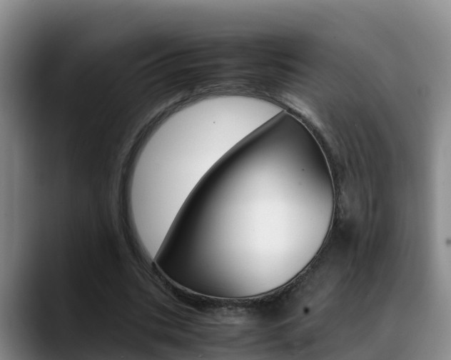 X0000089430535200706151023