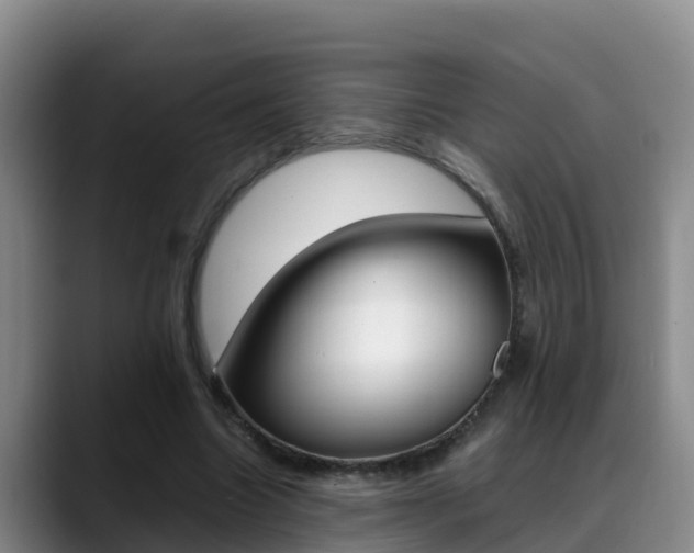 X0000089430538200706151023