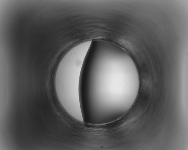 X0000089430539200706151023