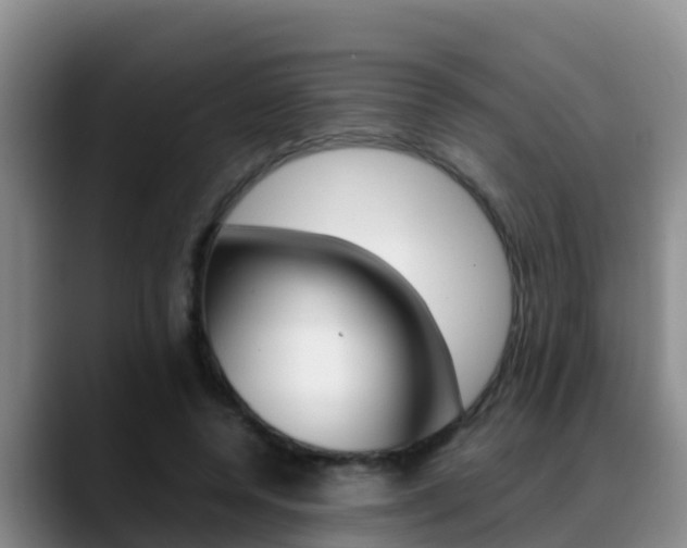 X0000089430544200706151023