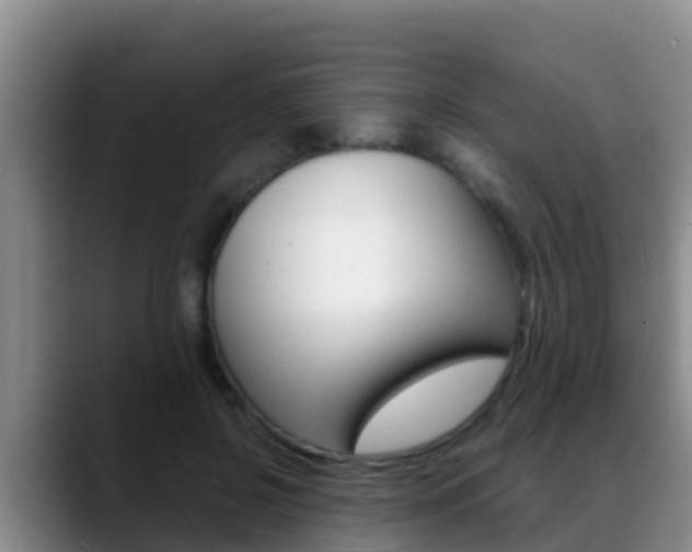 X0000089430550200706151023