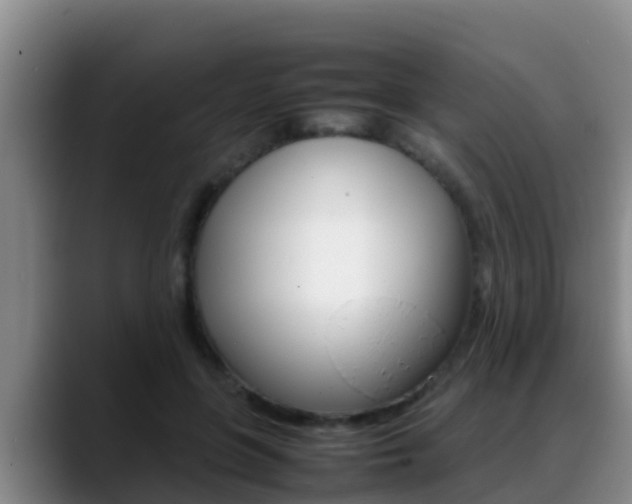 X0000089430551200706151024