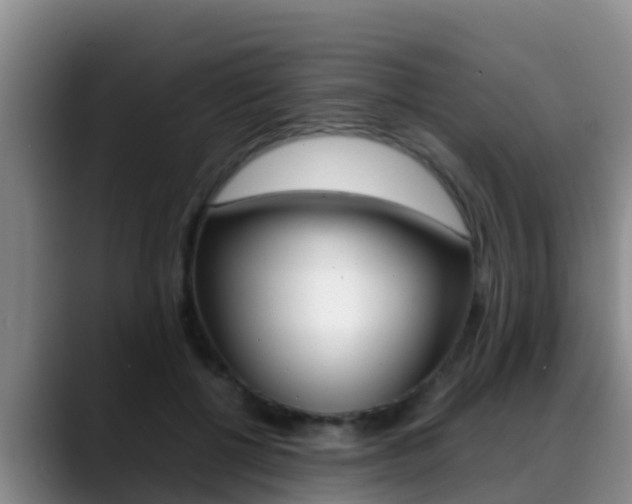 X0000089430552200706151024