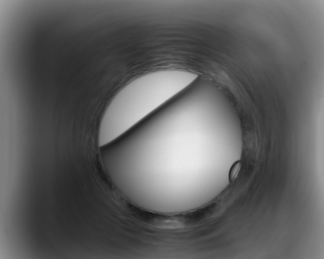 X0000089430553200706151024