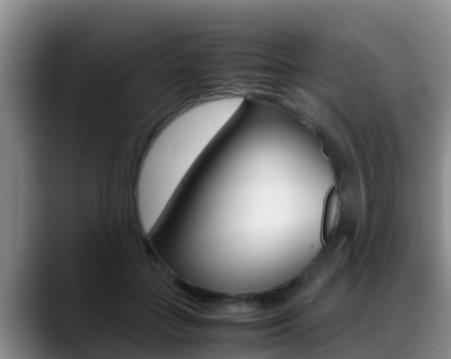 X0000089430555200706151024