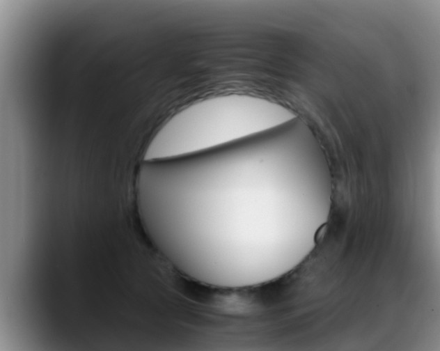 X0000089430561200706151024