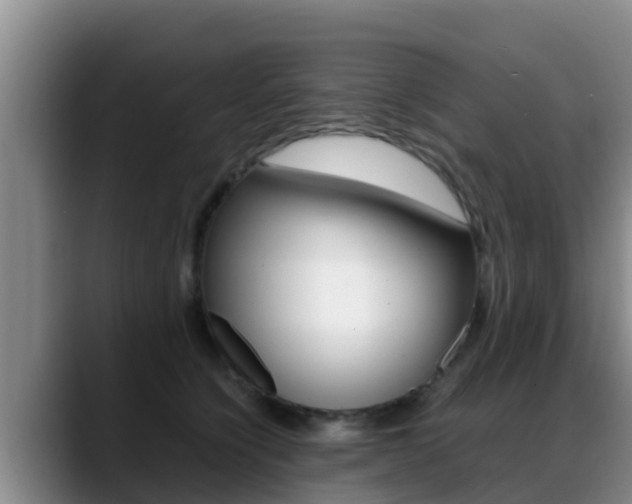 X0000089430564200706151024
